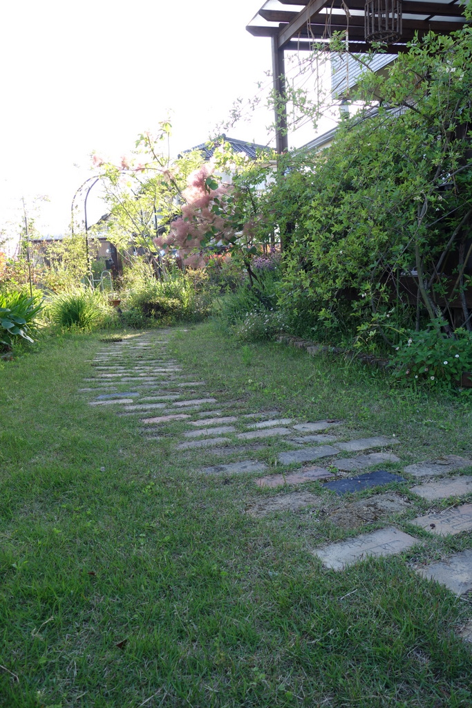 c0216472_20233216.jpg