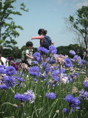 b0141773_13102023.jpg
