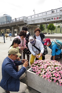 b0141773_13283394.jpg