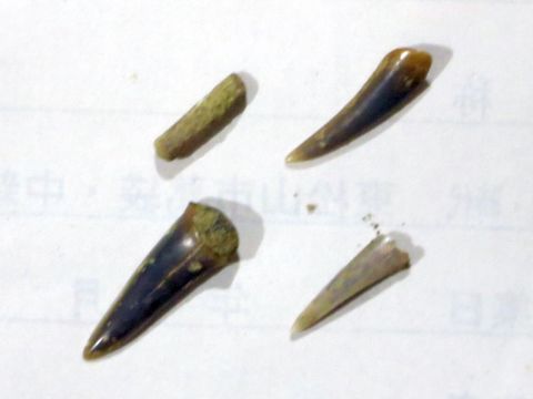 f0047773_20583620.jpg