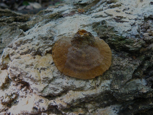 d0019074_8354829.jpg