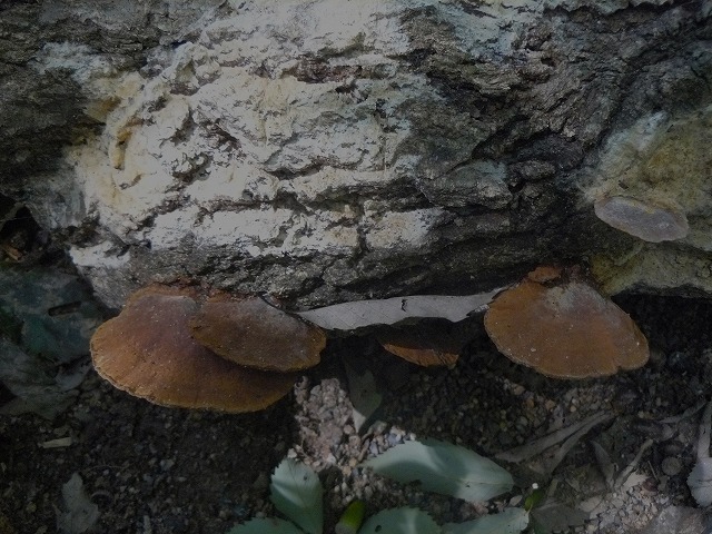 d0019074_8361817.jpg