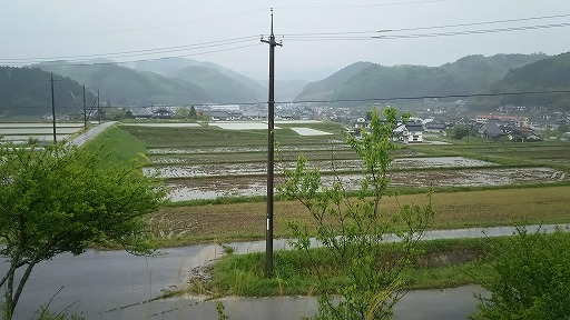 e0020682_1433482.jpg