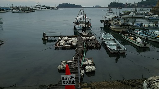 e0020682_1575938.jpg