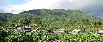 f0003283_06514470.jpg
