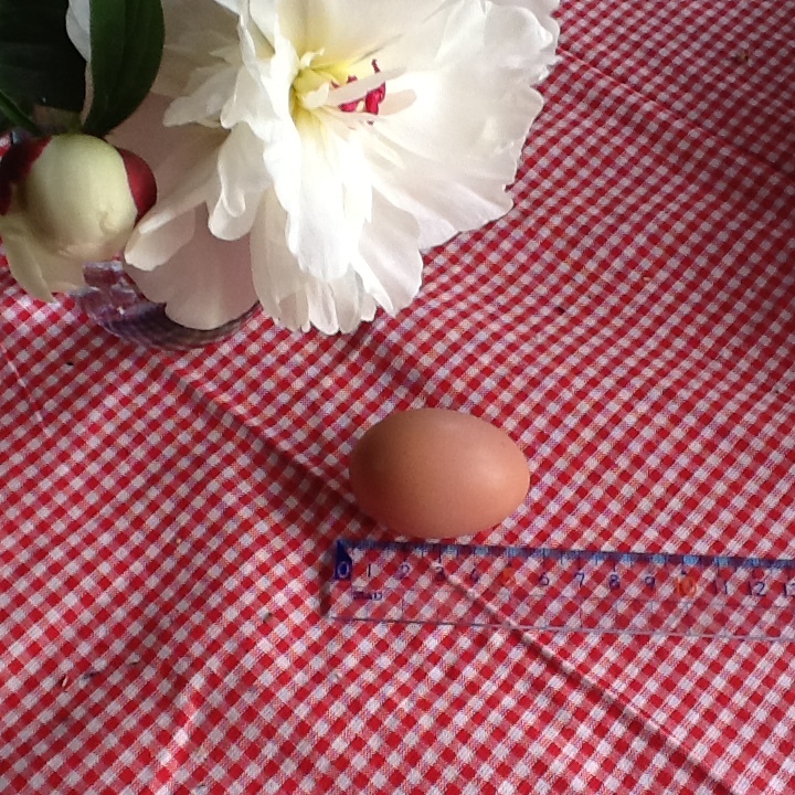 b0330288_20391423.jpeg