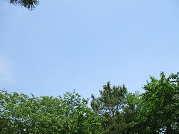 d0333091_18351583.jpg