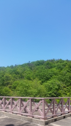 b0321595_23170364.jpg