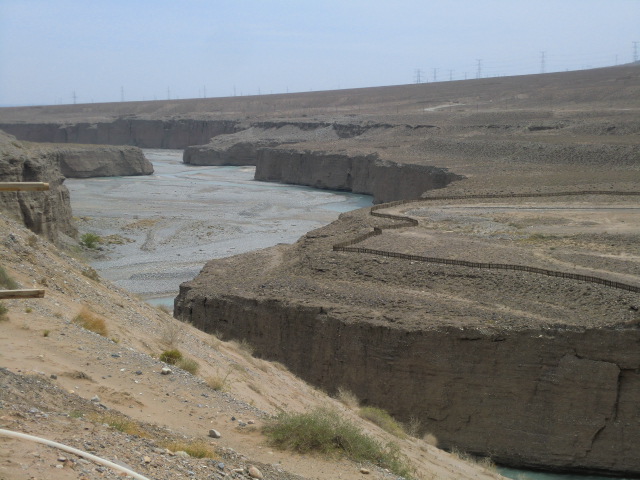 b0044296_12296.jpg