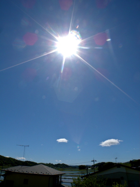 a0199297_20451365.jpg