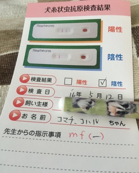 b0188998_18334543.jpeg