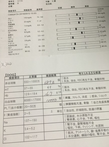 b0188998_18335834.jpeg