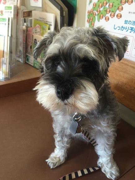 b0188998_18342150.jpeg