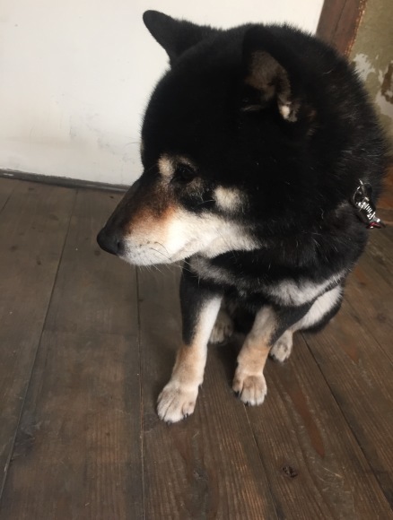 b0188998_18352665.jpeg