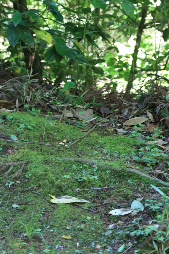 b0275998_1202838.jpg