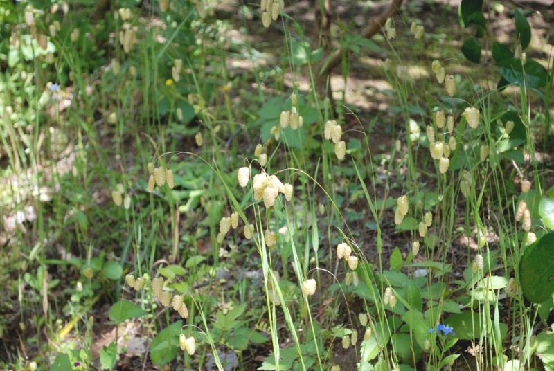 e0025300_21301078.jpg