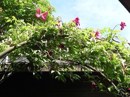 c0152002_17525235.jpg