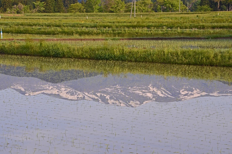 e0349817_21055040.jpg
