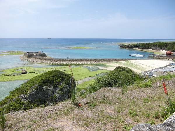 c0142326_197020.jpg