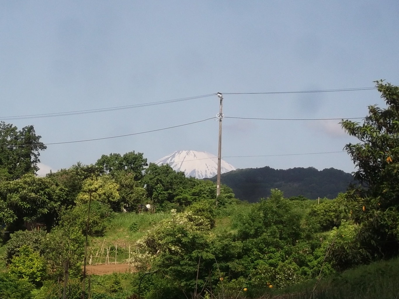b0137932_17424012.jpg