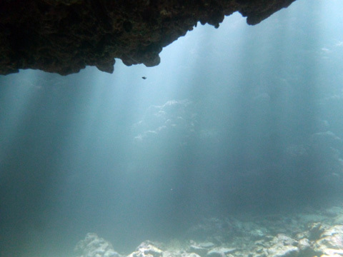 f0014842_18384871.jpg