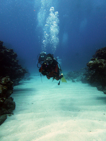 f0014842_18384881.jpg