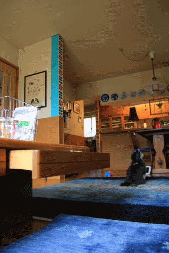 c0145250_10585556.gif