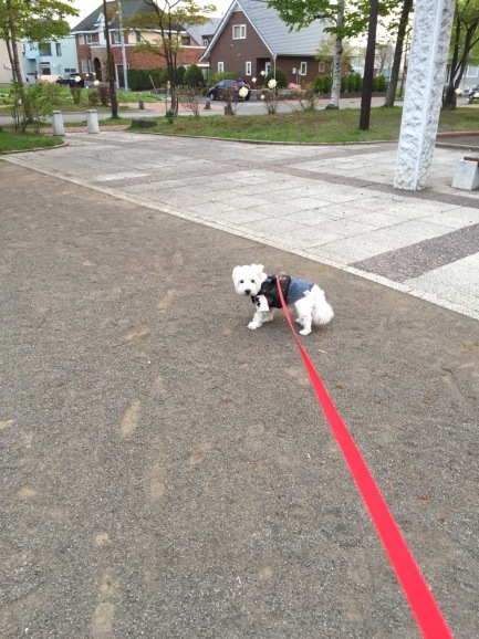 a0337860_22133858.jpeg