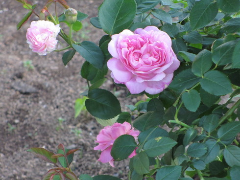 a0243064_014510.jpg