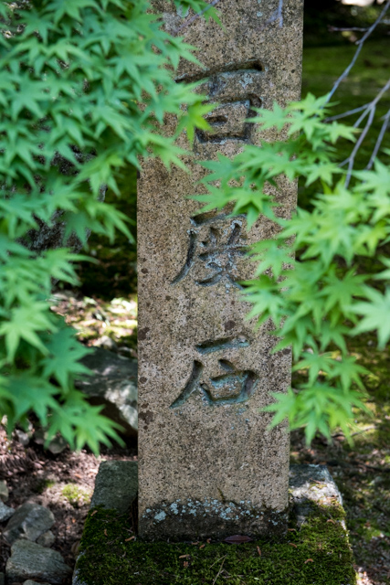 b0247073_22492252.jpg