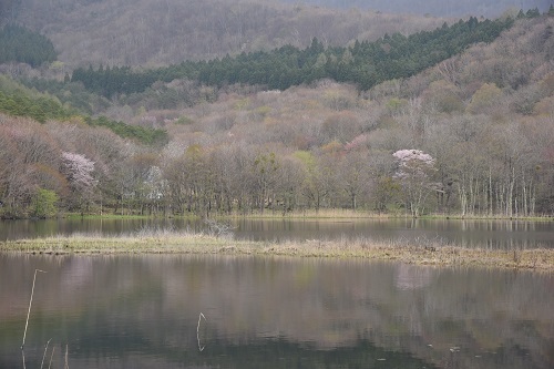 e0344574_14004982.jpg