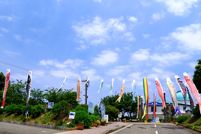 d0126577_21365822.jpg