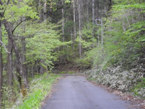 a0218499_2338528.jpg
