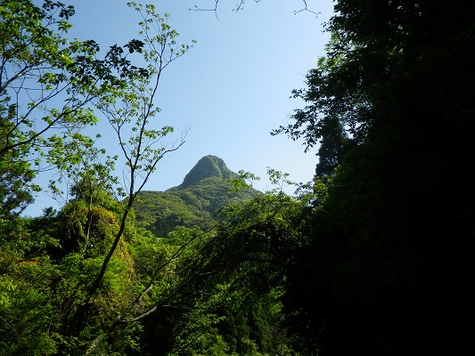 f0187402_2163917.jpg