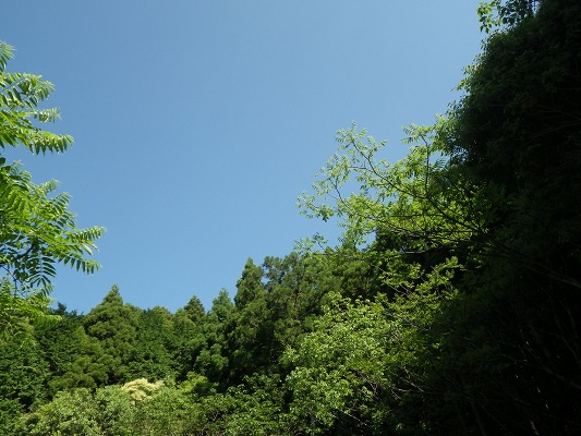 f0187402_2165239.jpg