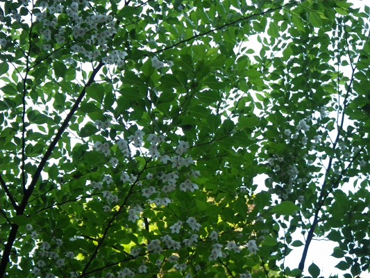 f0187402_2172997.jpg