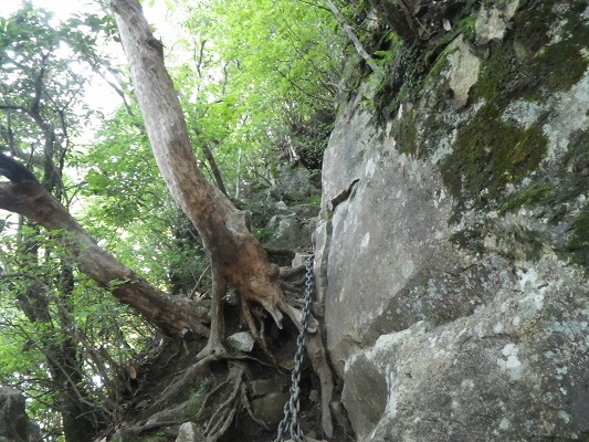 f0187402_2175552.jpg
