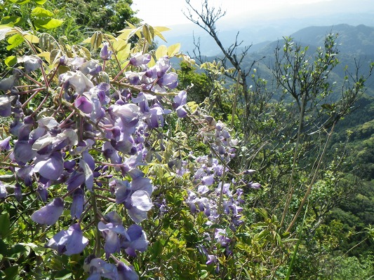 f0187402_2183917.jpg