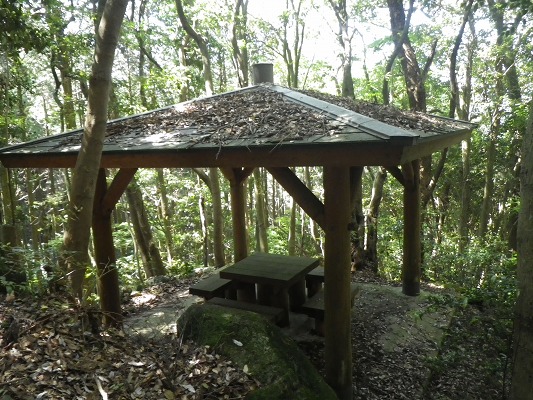 f0187402_21965.jpg