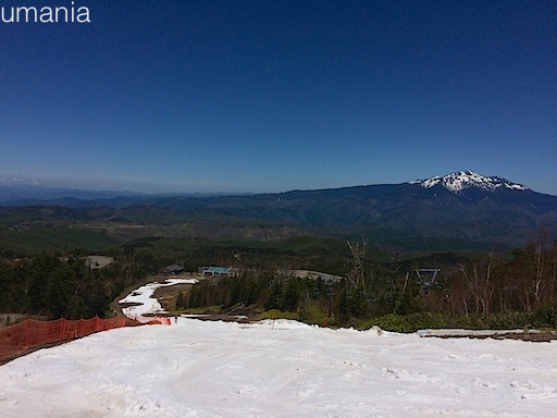 b0061004_1551712.jpg
