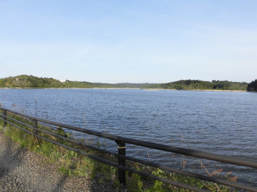b0035611_21215659.jpg