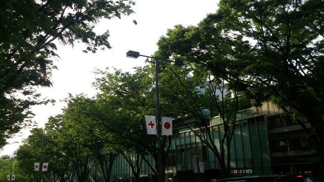 c0317717_22454722.jpg