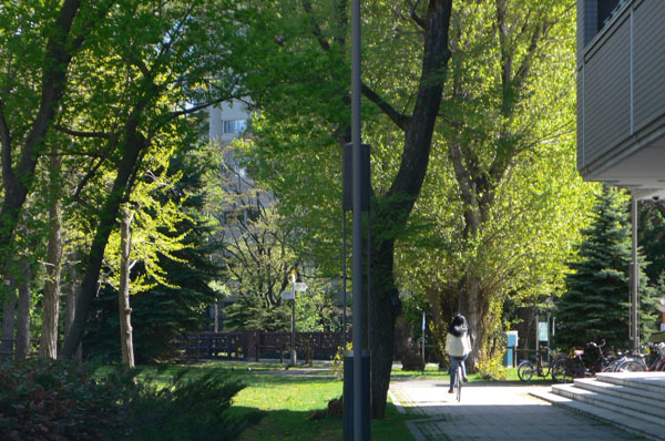 a0046429_00061518.jpg