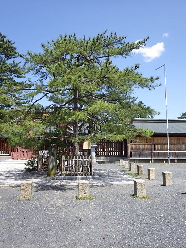c0263829_9584483.jpg