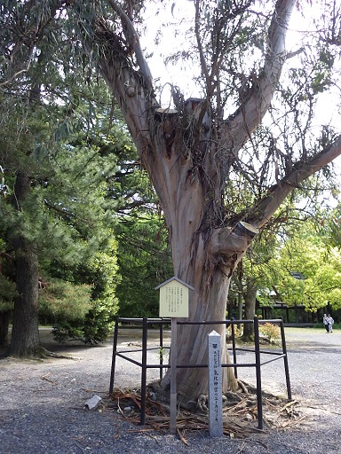 c0263829_9592632.jpg