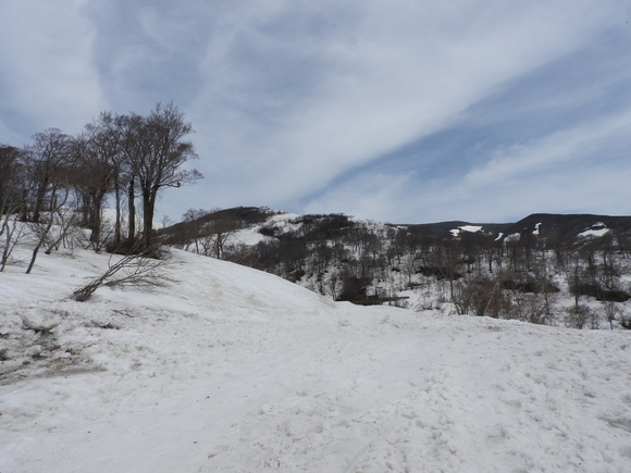 f0118332_0232071.jpg