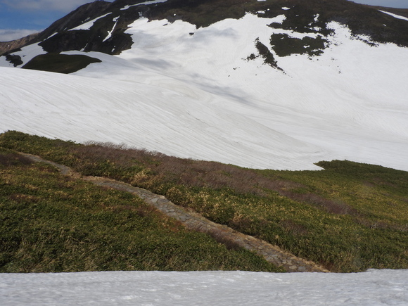 f0118332_0264478.jpg