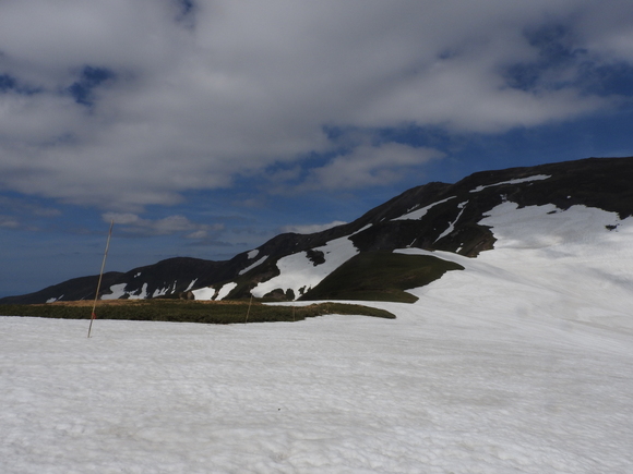f0118332_027735.jpg