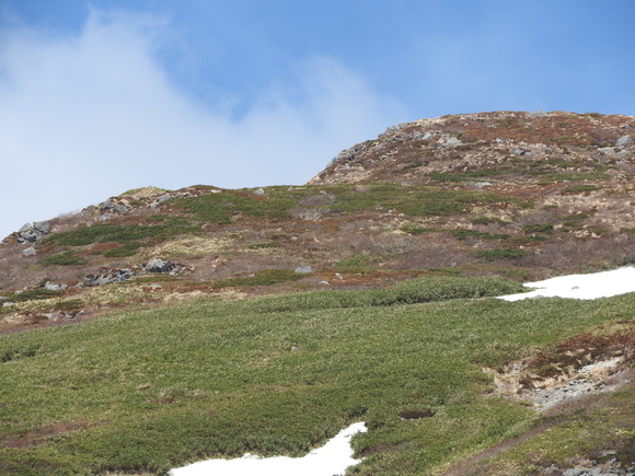 f0118332_0284666.jpg