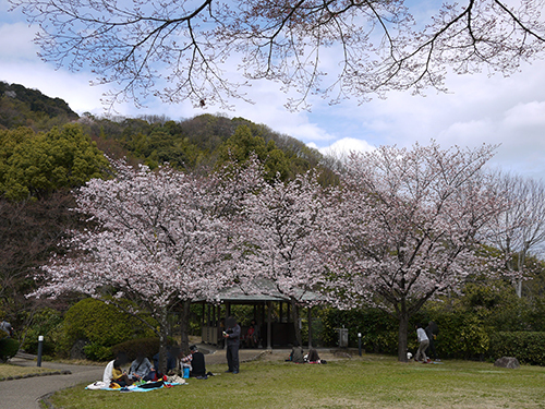 b0035734_19050014.jpg